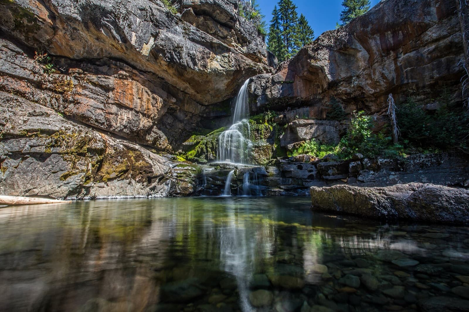 Fernie