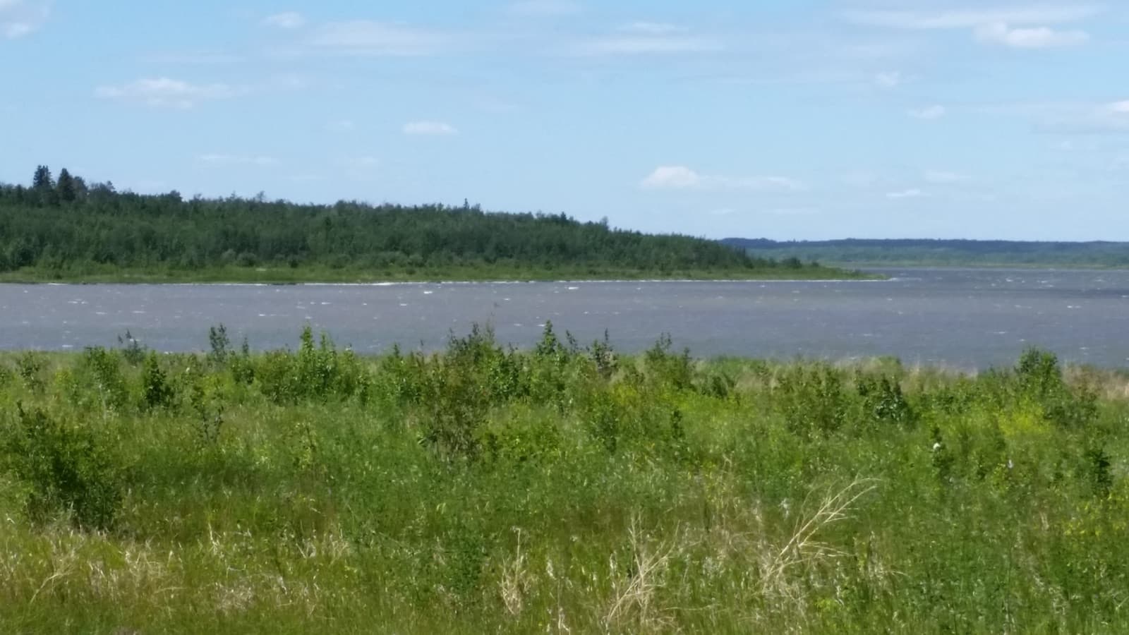 Camrose County