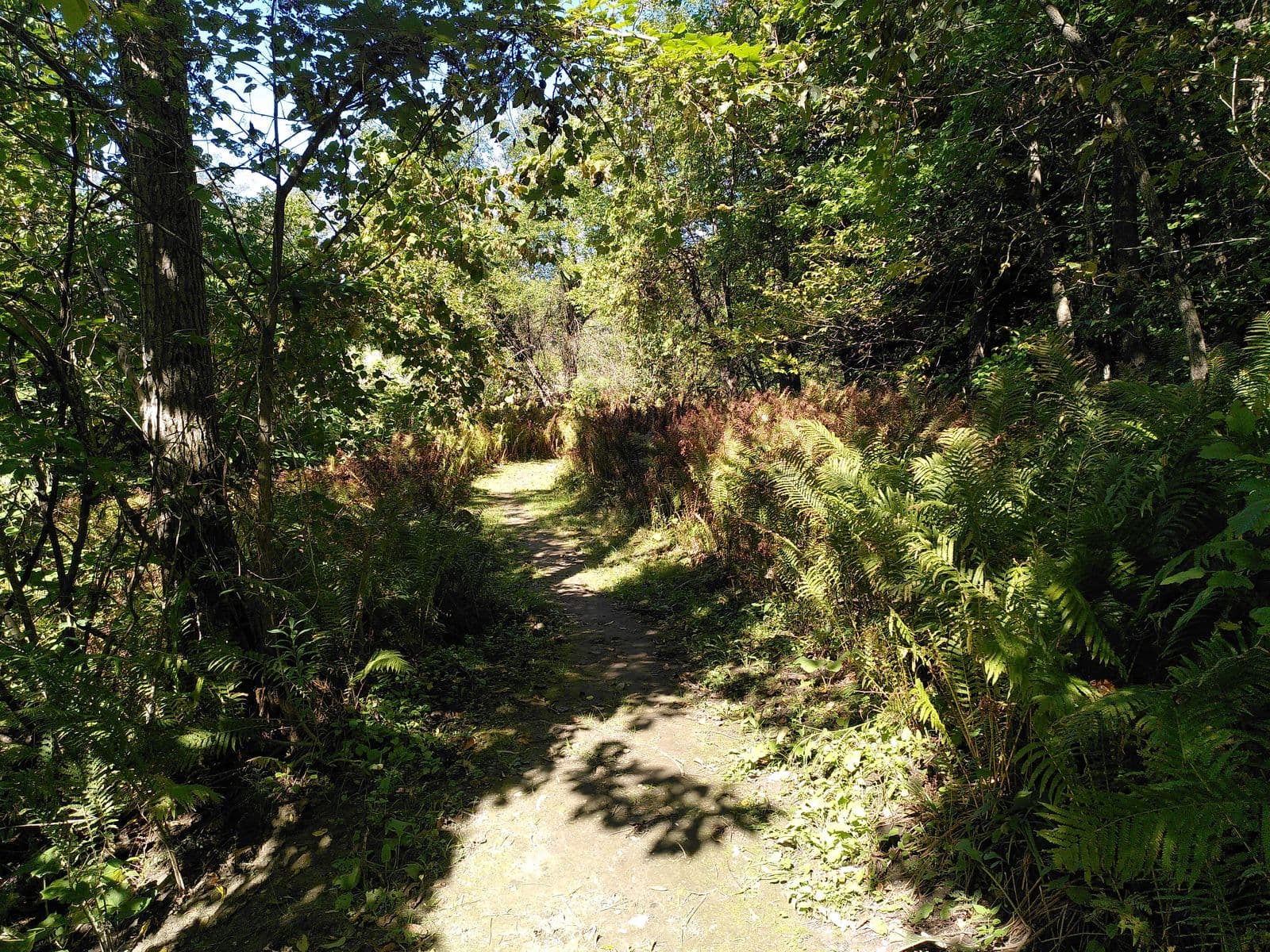 Coaticook