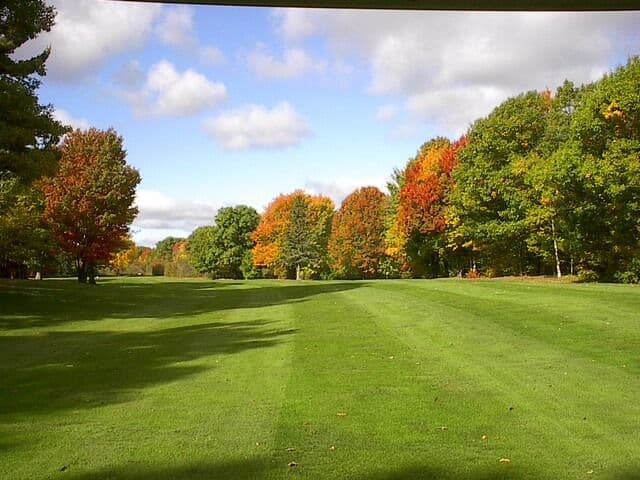 Greenwood