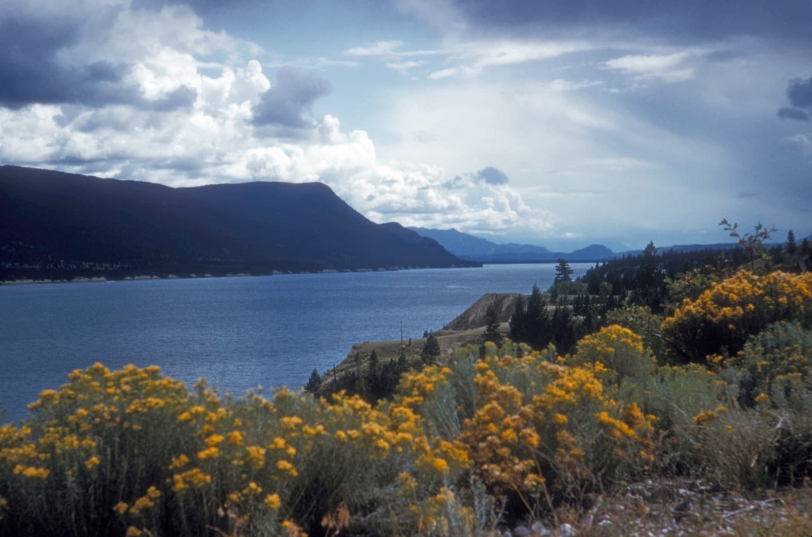 Invermere
