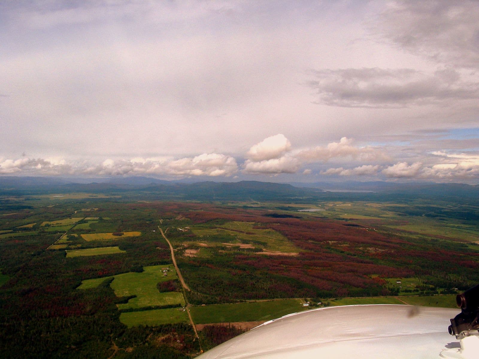 Vanderhoof