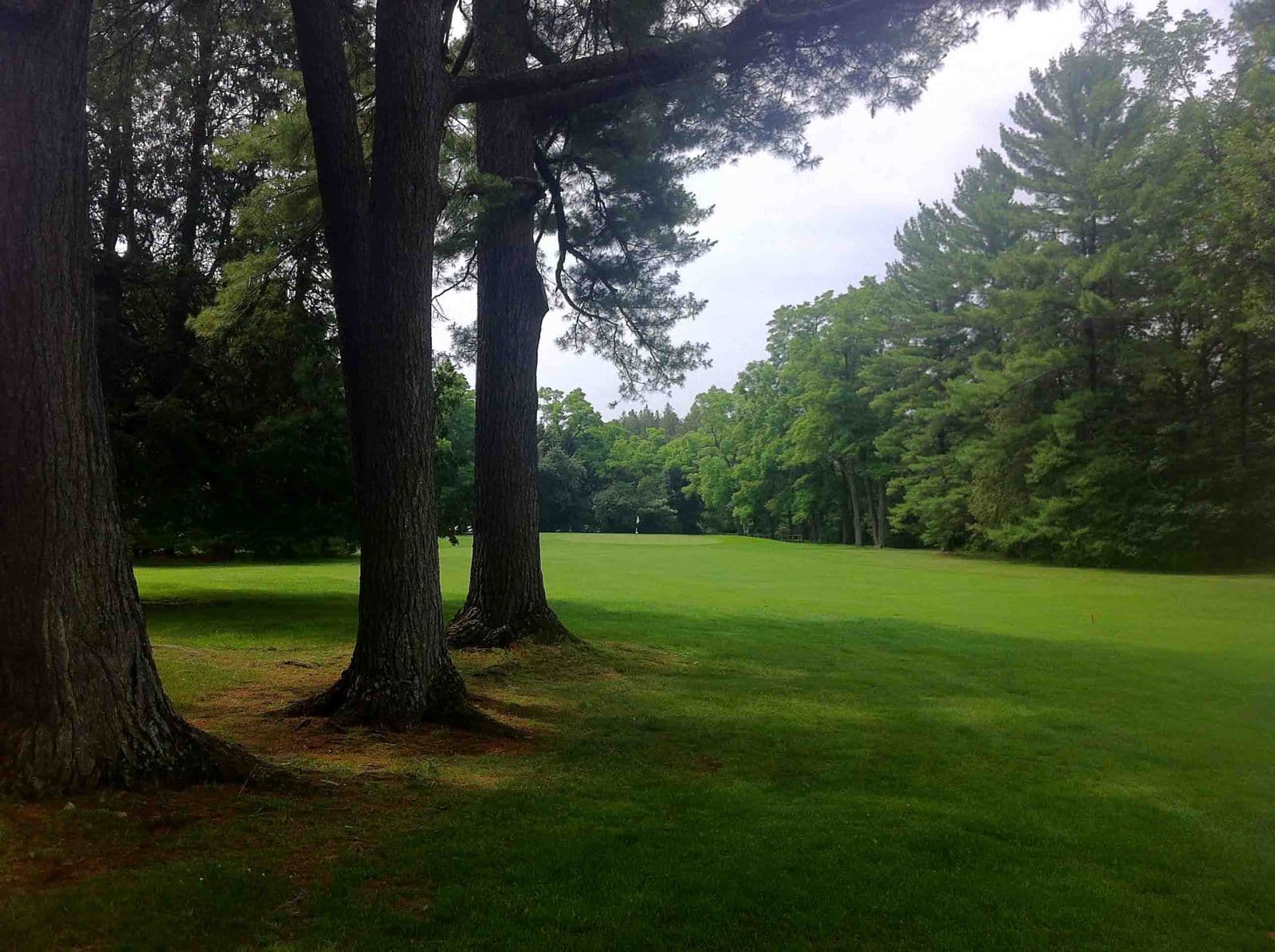 Sturgeon Point Golf Club