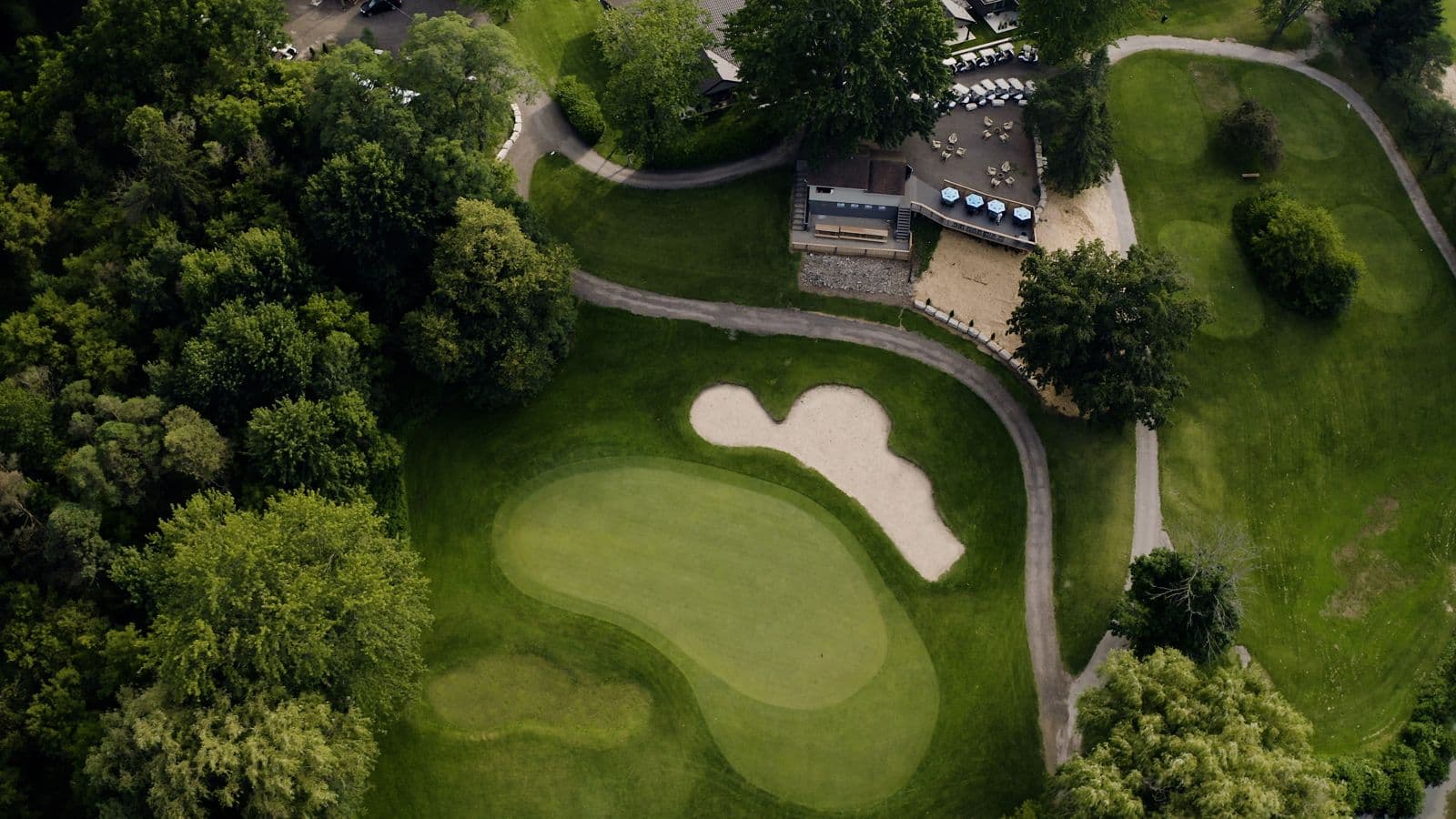 Willow Tree Golf