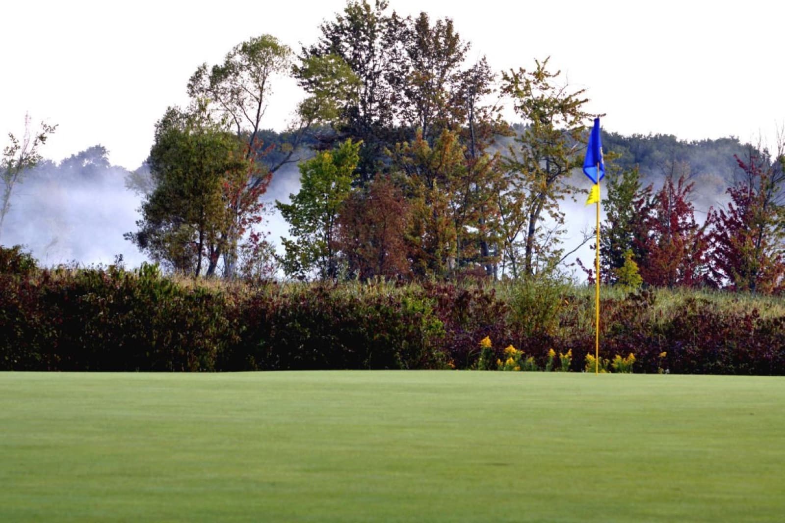 Stone Tree Golf & Fitness Club