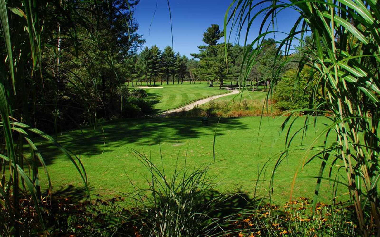 Windermere Golf & Country Club