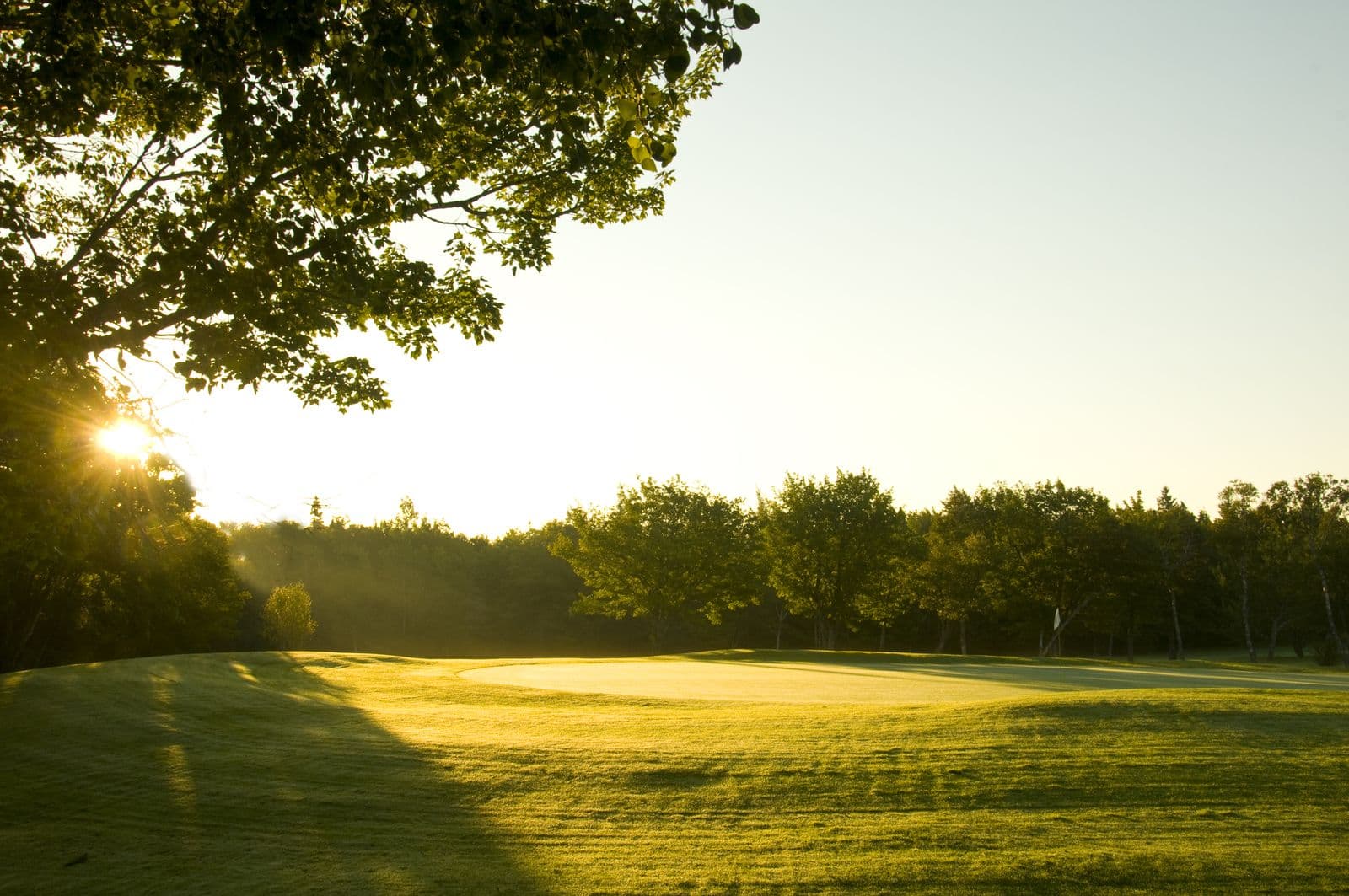 Lingan Golf & Country Club golf course