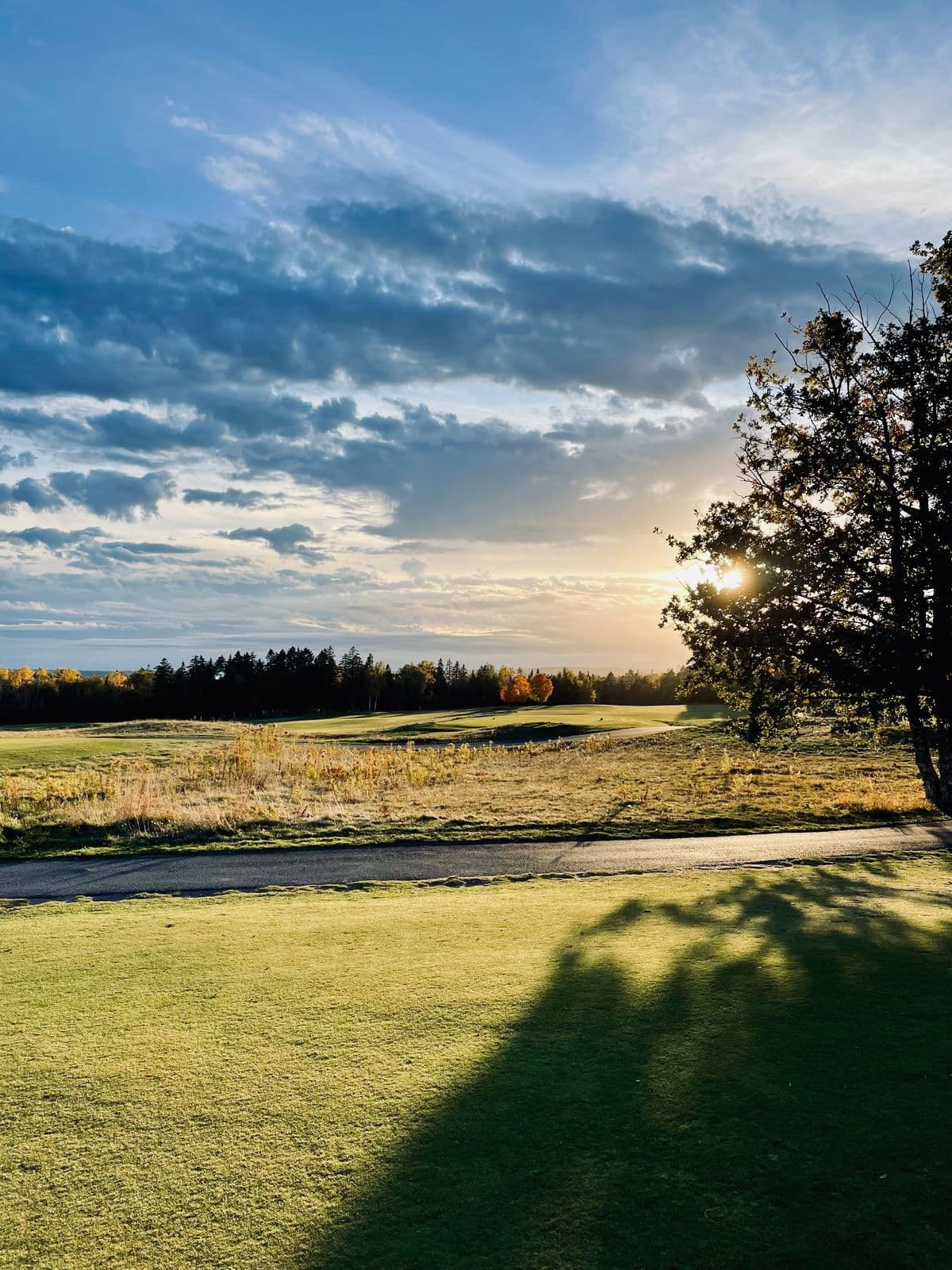 Algonquin Golf Course golf course