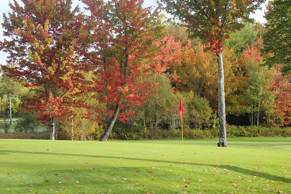 Sussex Golf & Curling Club