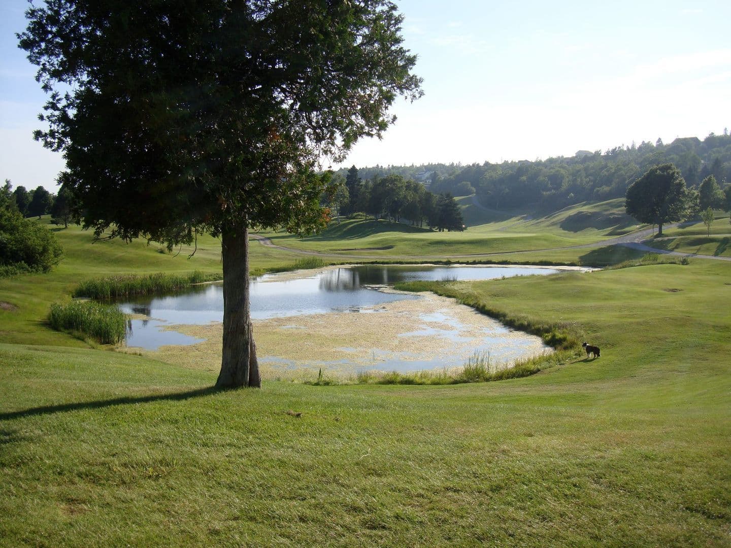 Rockwood Park Golf Course golf course