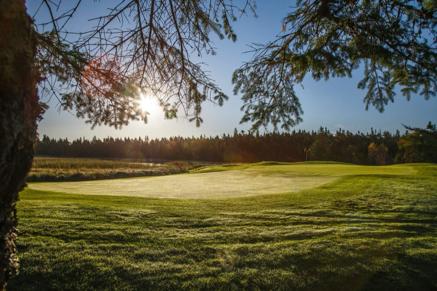 Bally Haly Country Club - South Championship Course