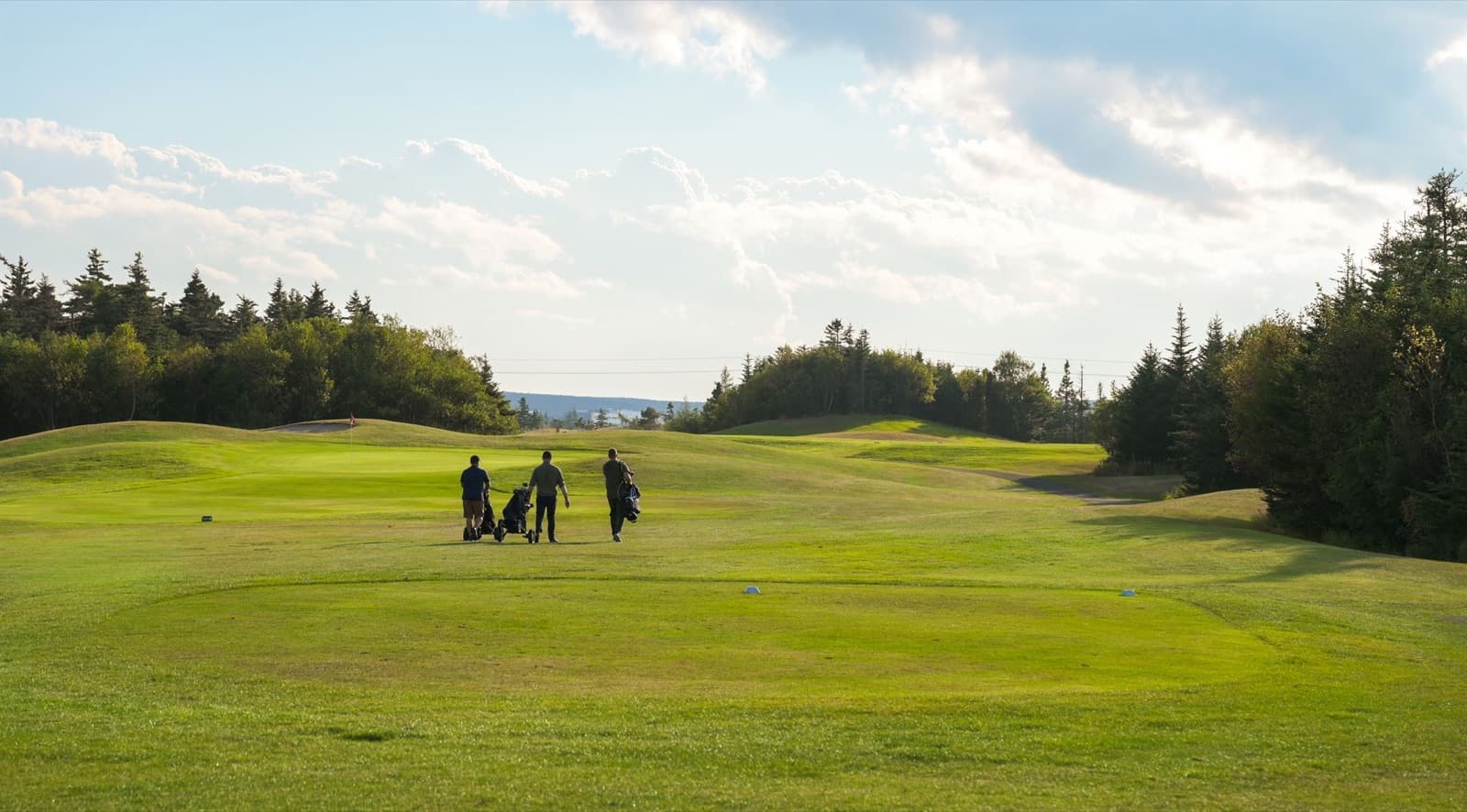 Bally Haly Country Club - North Executive Course