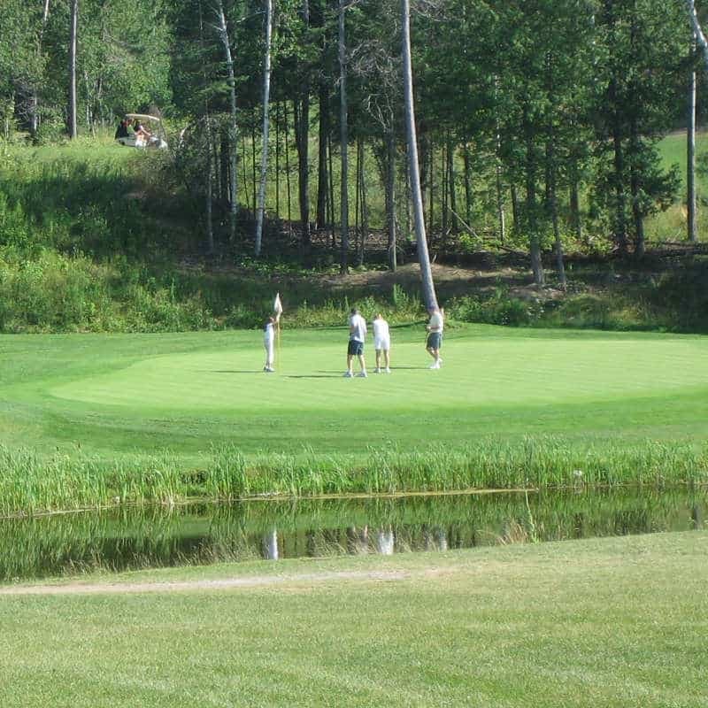 Whitetail Golf Club