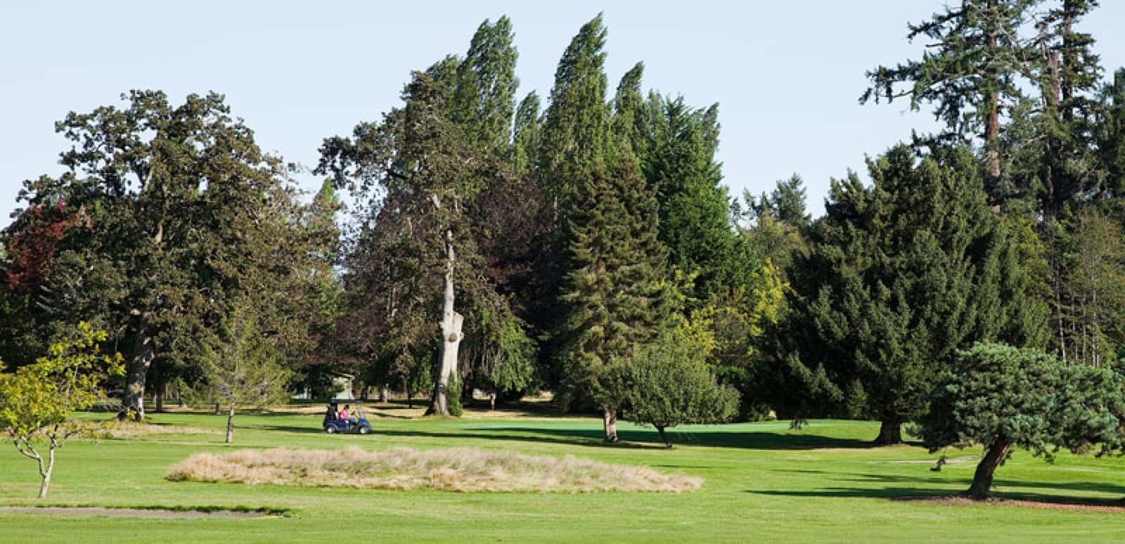 Ardmore Golf Course