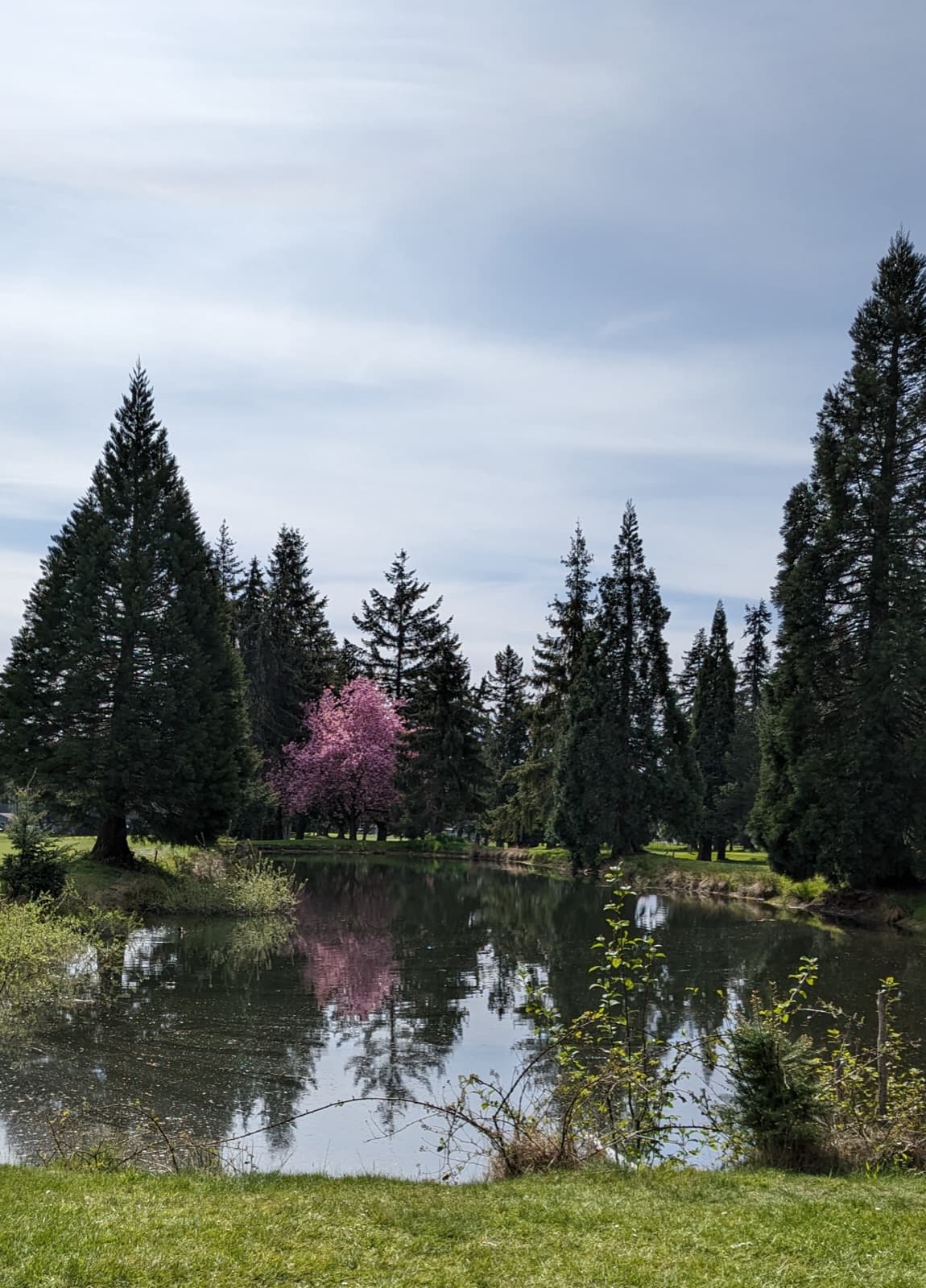 Comox Golf Club