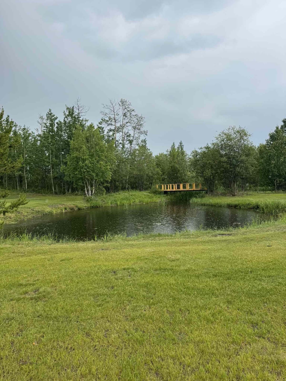 Farmington Fairways golf course