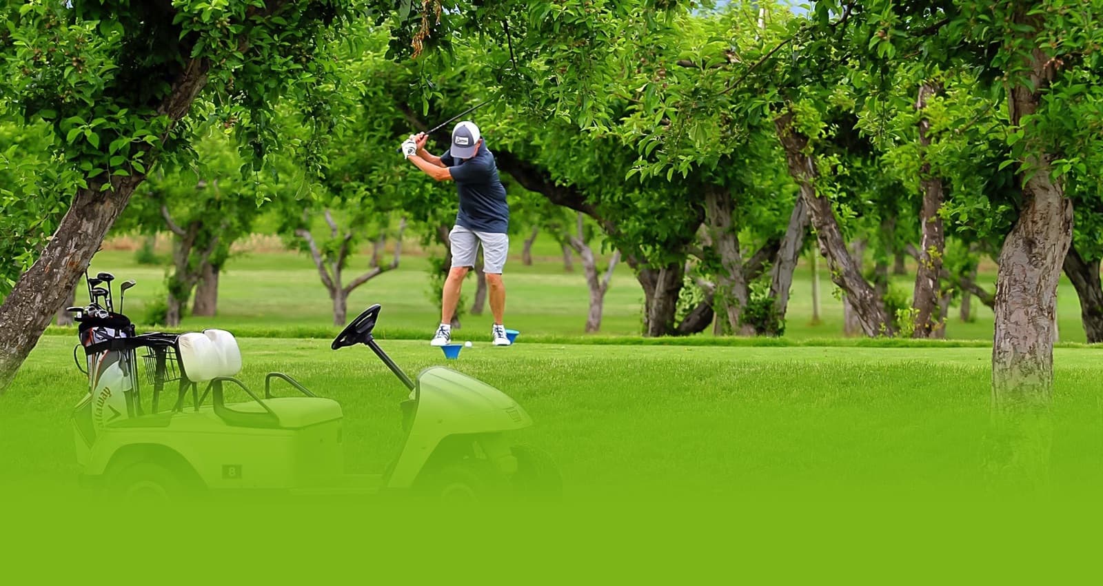 Orchard Greens Golf Club