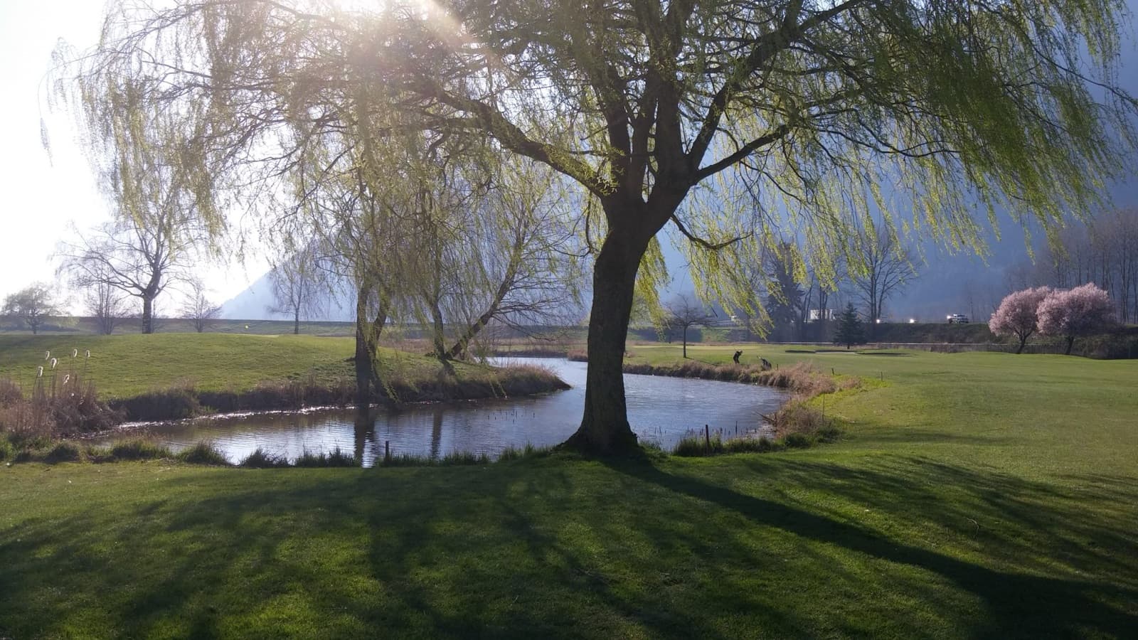 Royalwood Golf Course