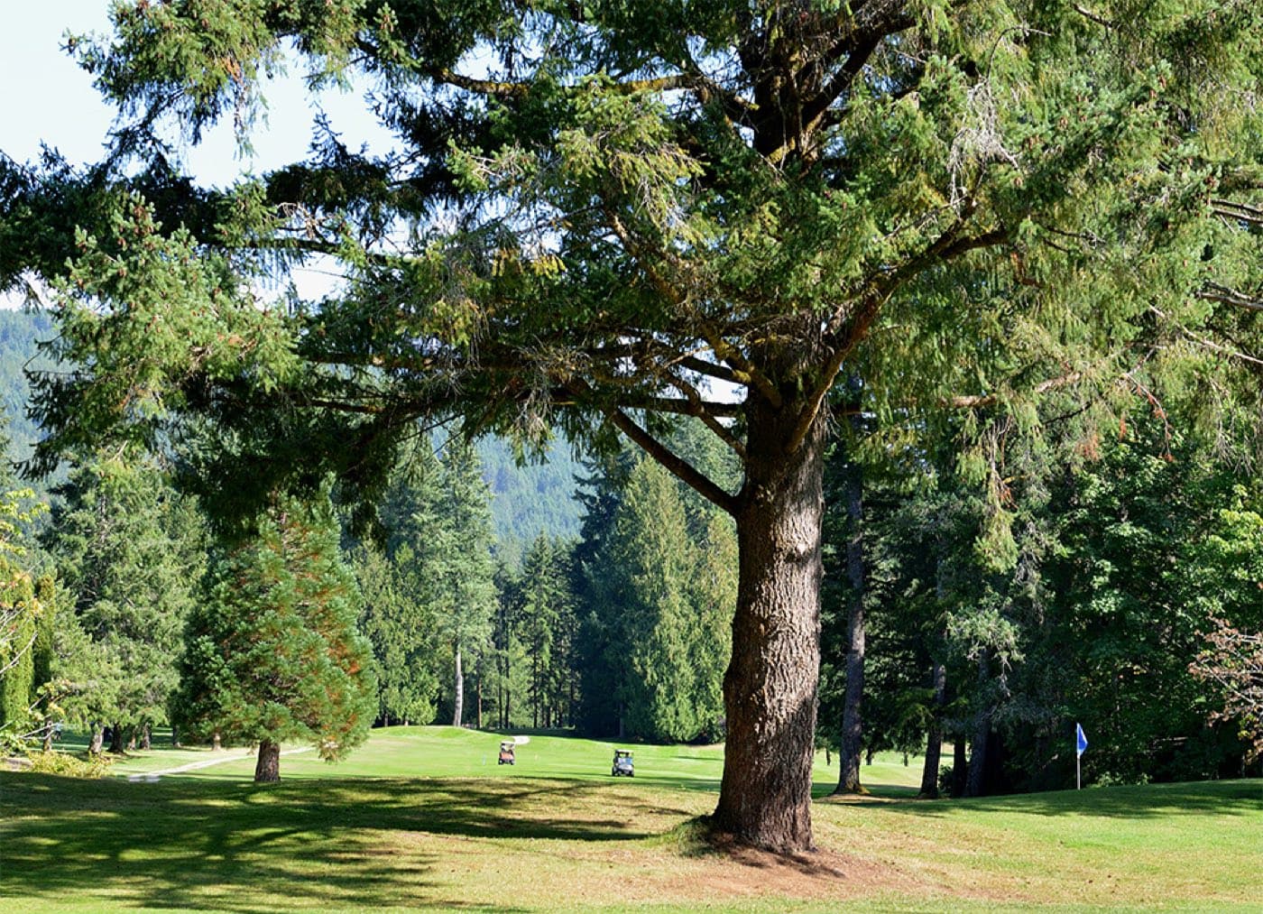 Alberni Golf Club