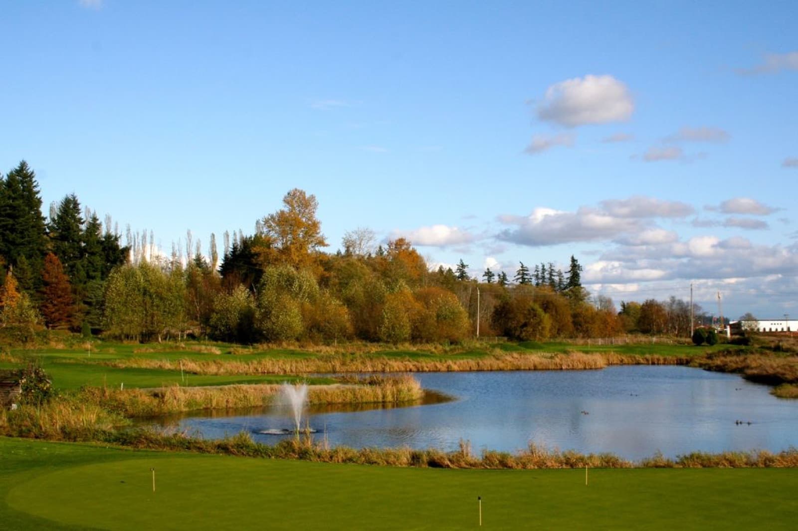 Birdies & Buckets Family Golf Centre