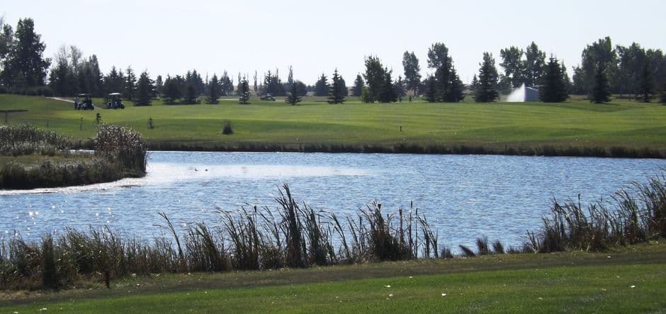 Acme Golf Club golf course