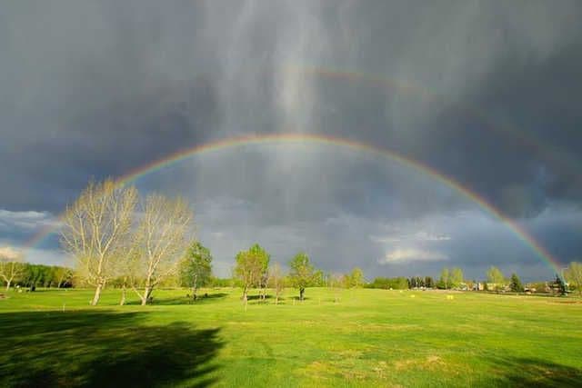 Wainwright Golf Club golf course