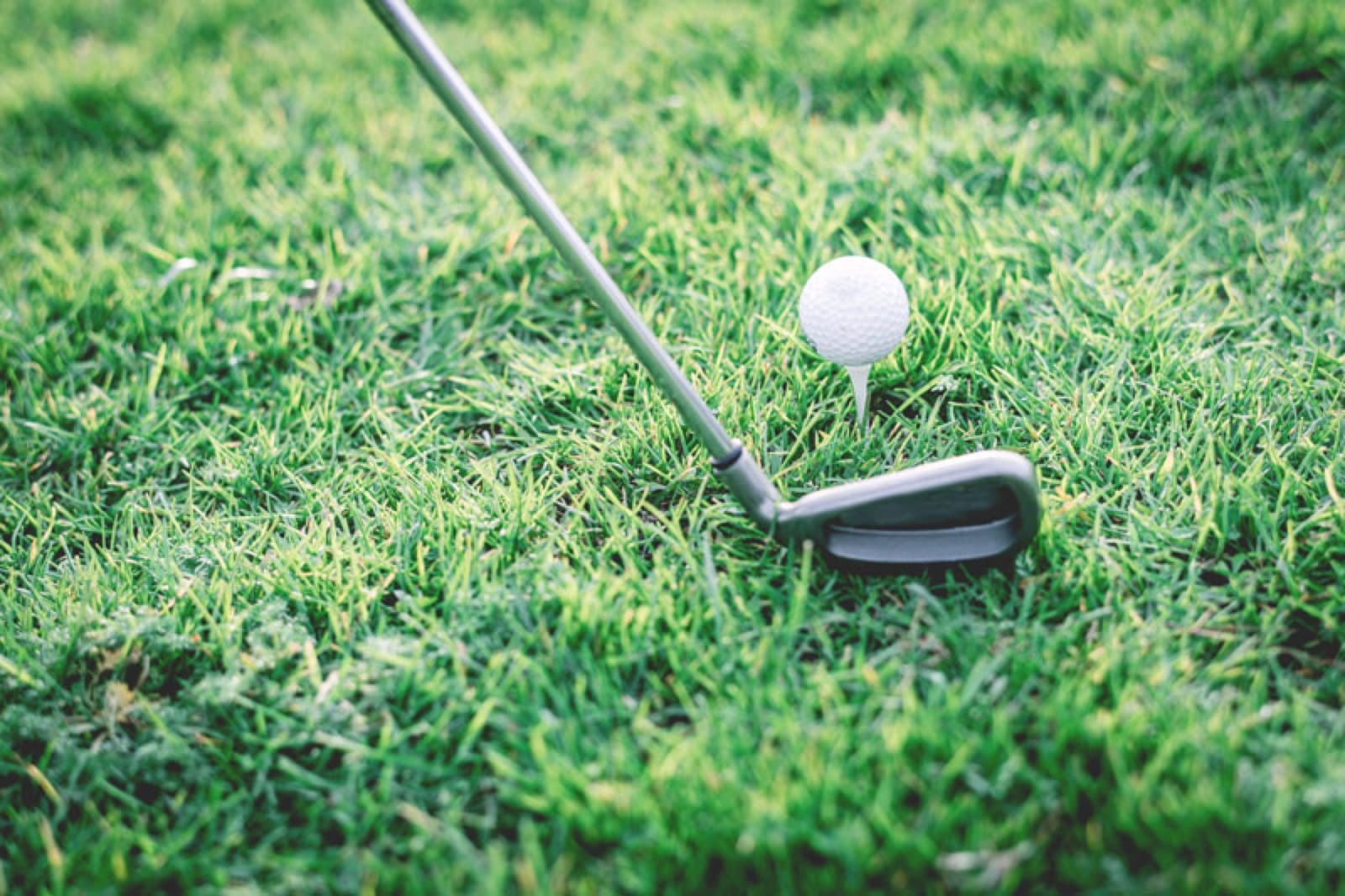 Fox Haven Golf & Country Club golf course