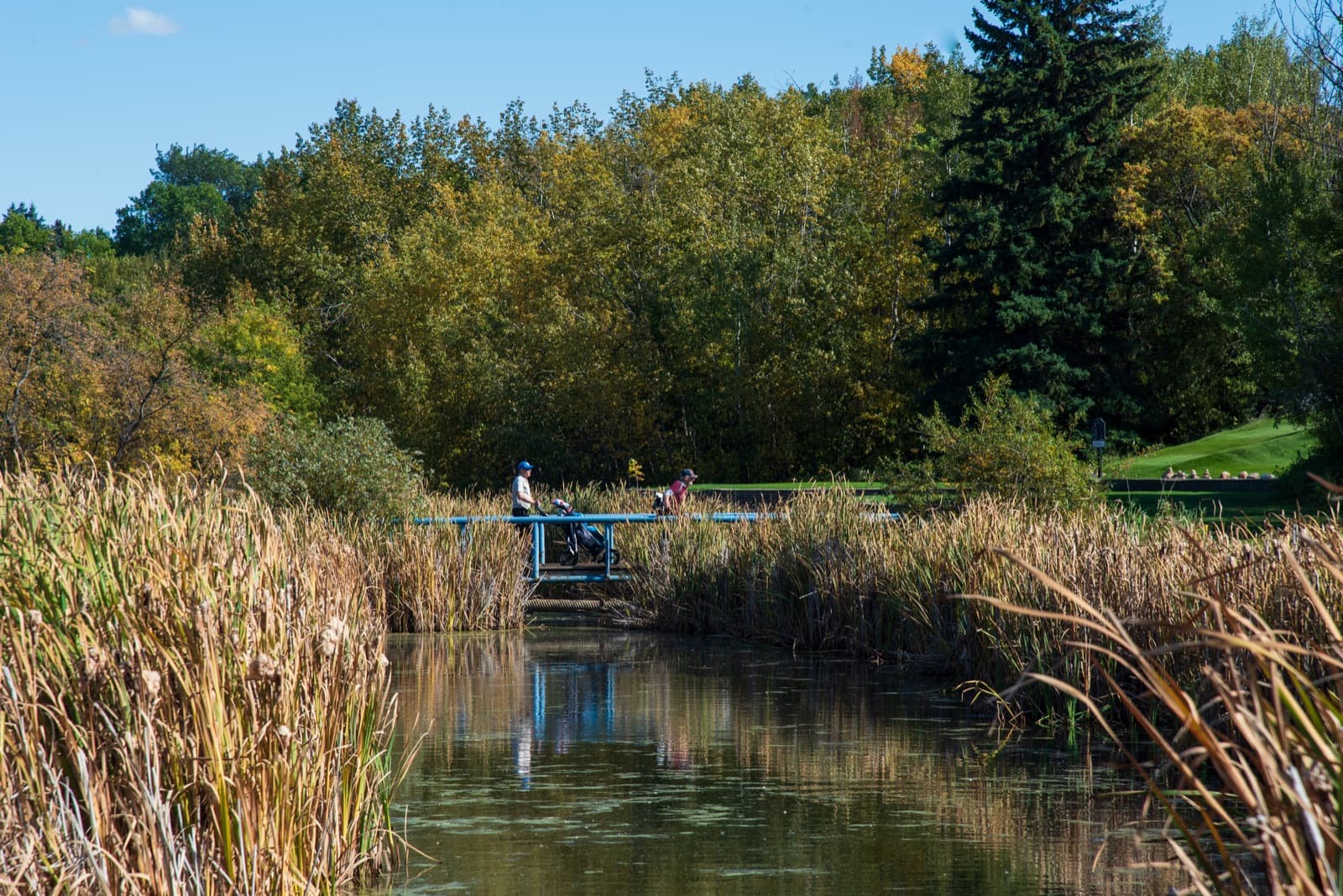 Camrose Golf Course
