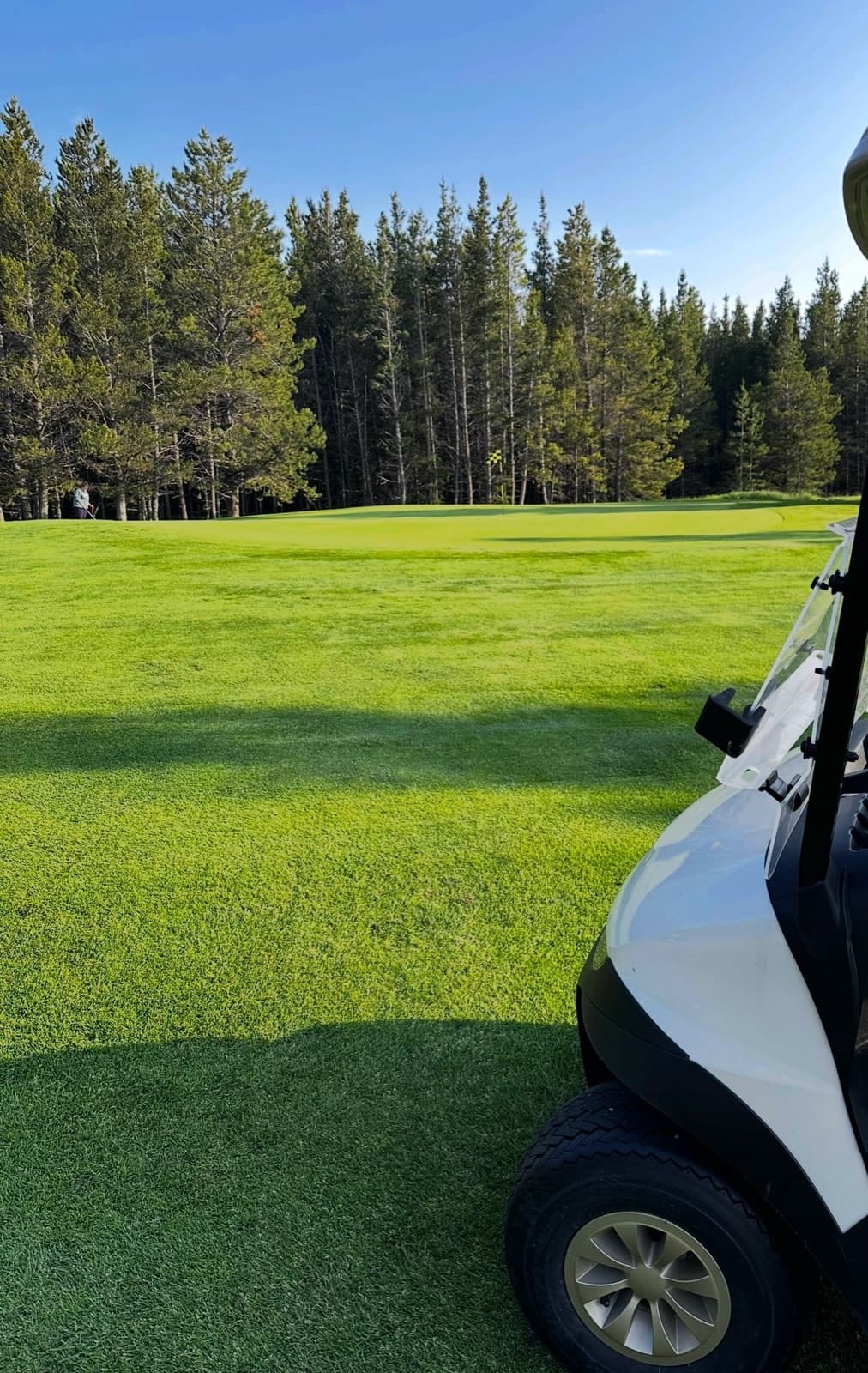 Cypress Hills Golf Course (Cypress Hills Golf Resort) golf course