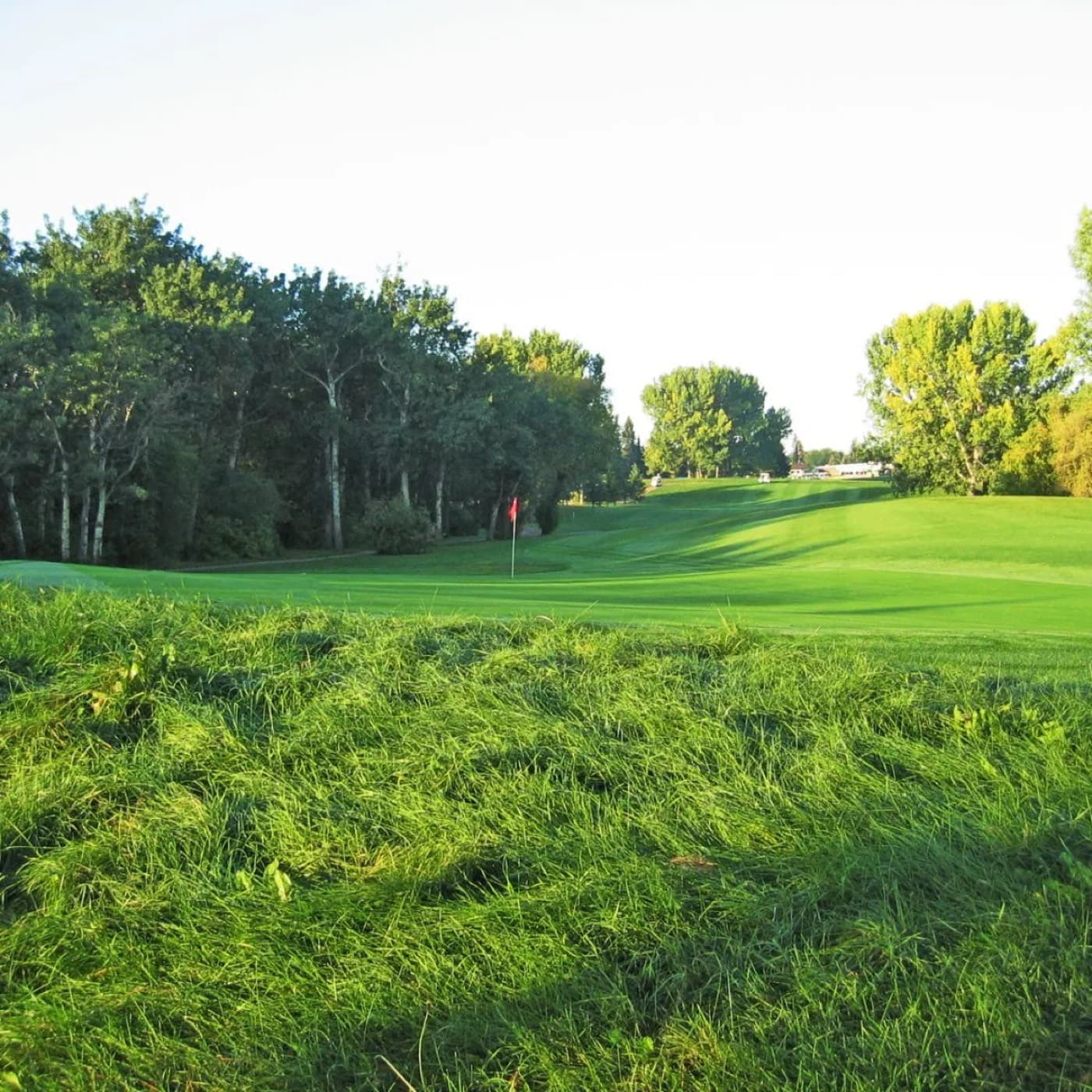 Cooke Municipal Golf Course golf course