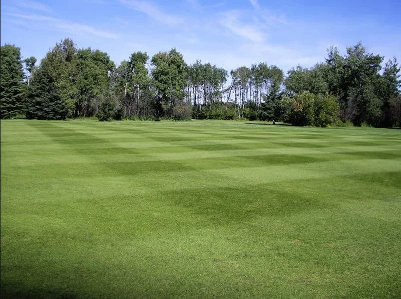 Gilbert Plains Country Club golf course