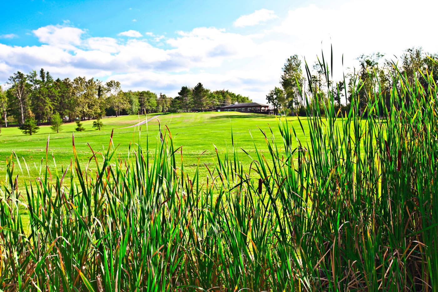 Red Lake Area Golf & Country Club golf course