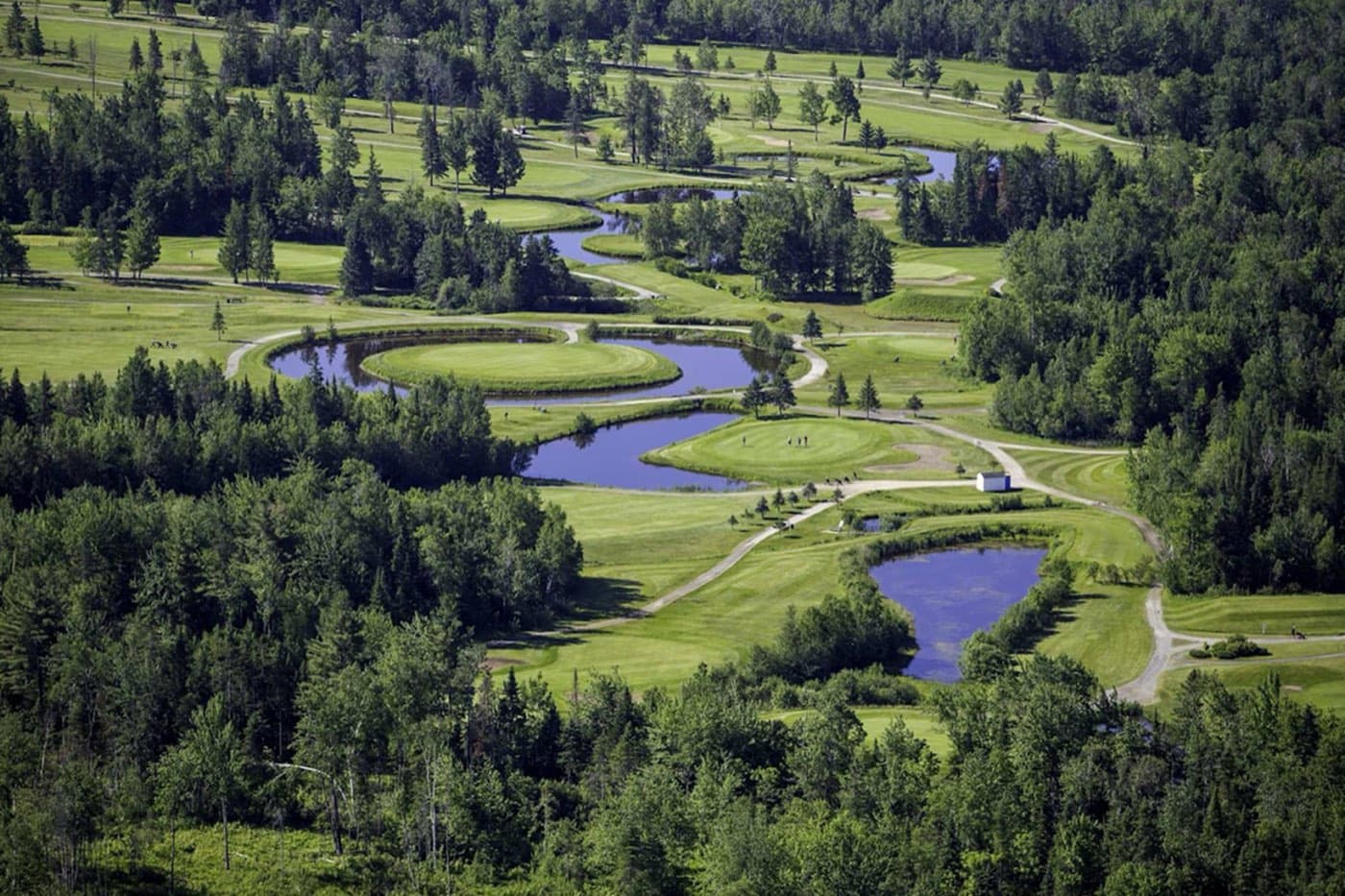 Club de golf Venise