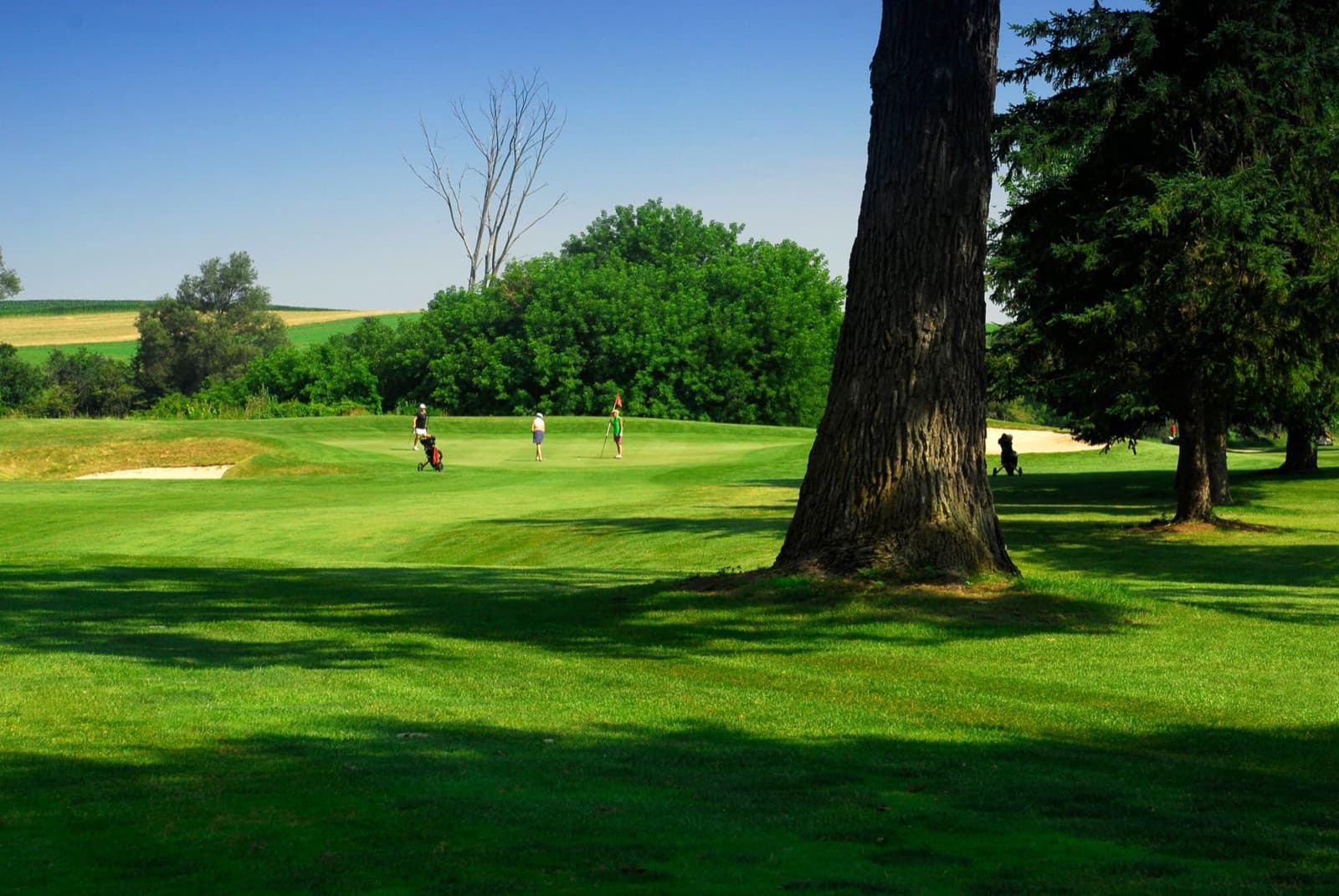 Conestoga Golf Club