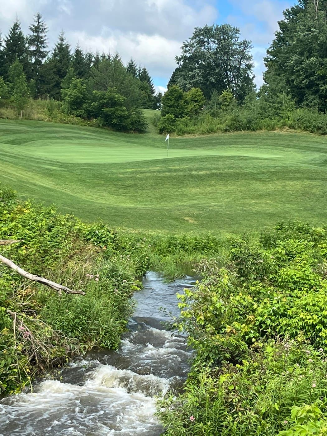 Sally Creek Golf Club golf course