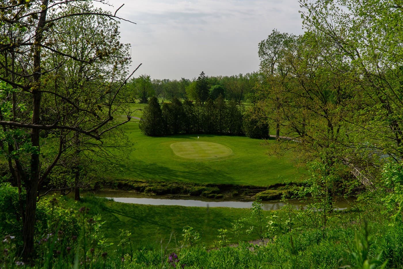 Forest Golf Club & Inn - 9 Hole Course