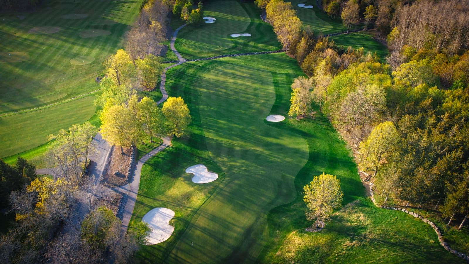 Black Bear Ridge Golf Course