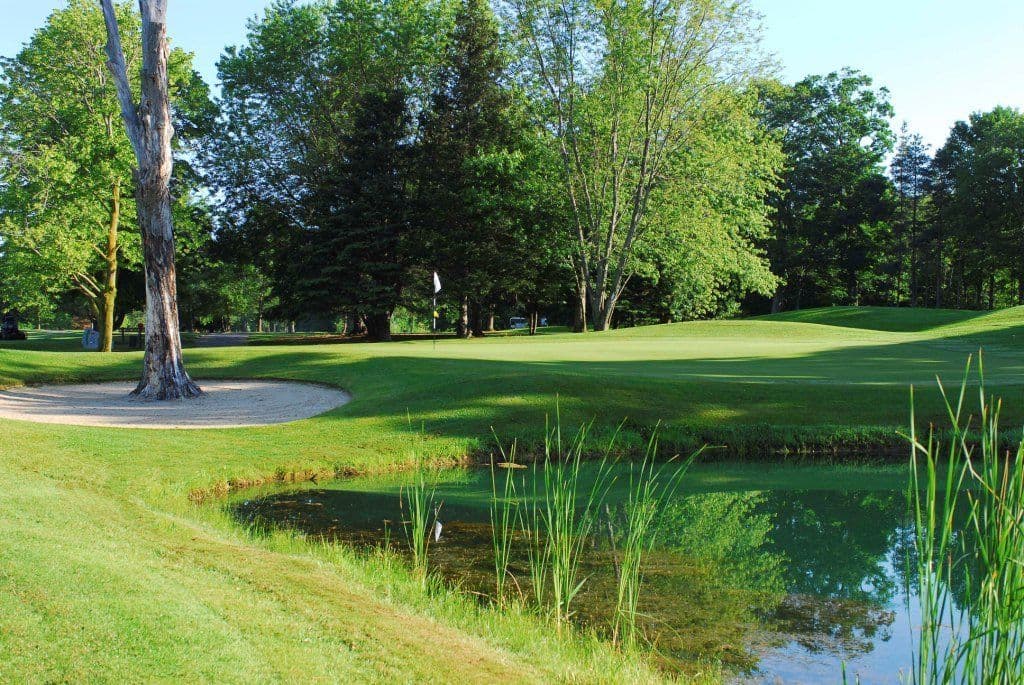 Century Pines Golf Club